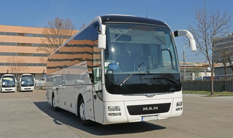 Kosovo: Buses operator in Pristina in Pristina and Europe